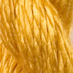 C-024 DANDELION