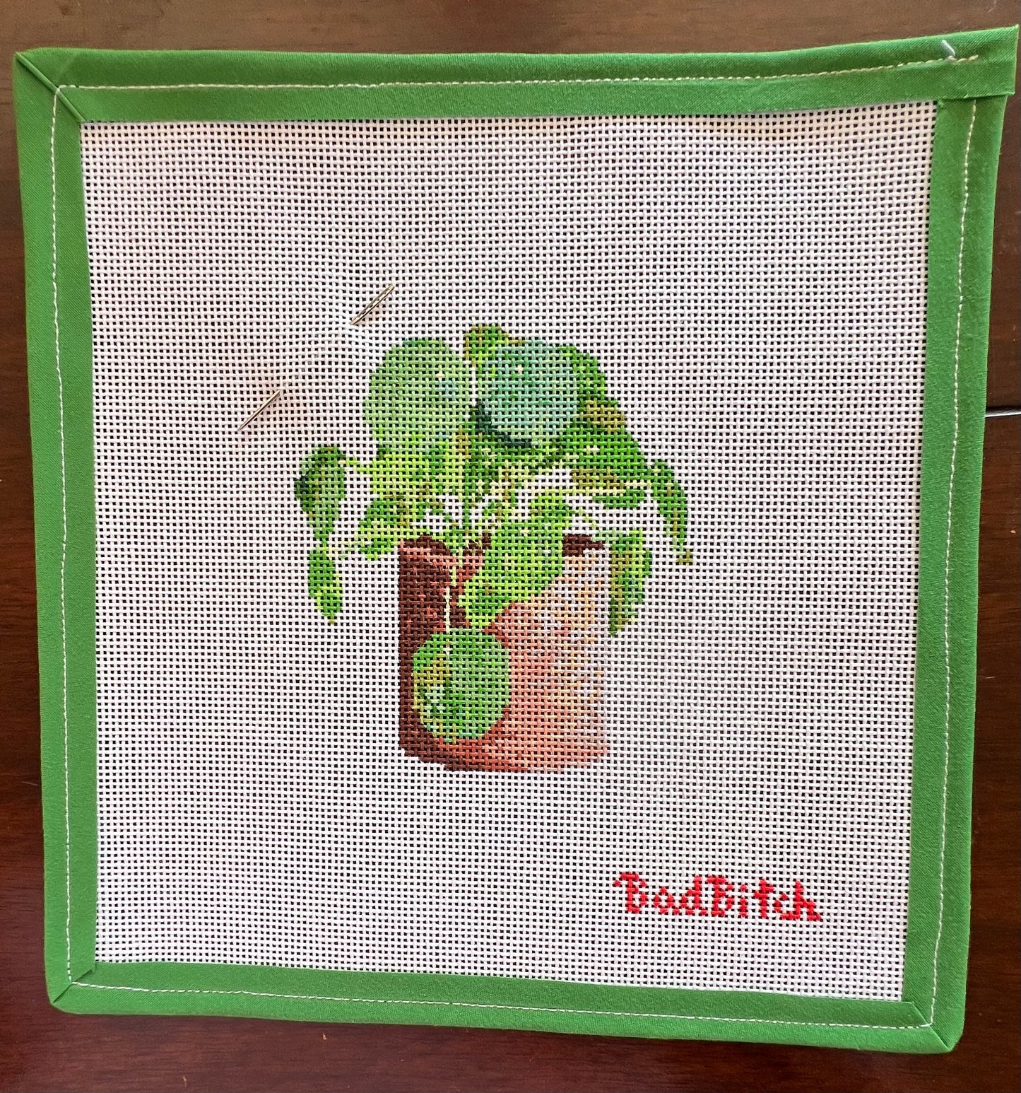 BB-Botany Pothos - 18M