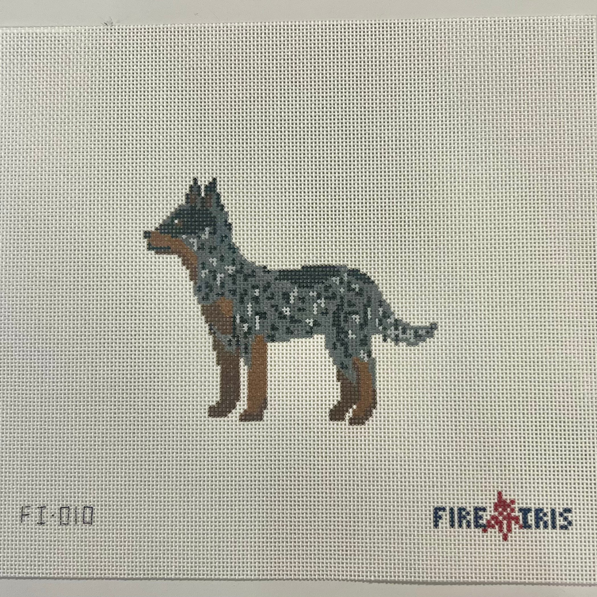 FI-010 - The Cali Cattle Dog - 18M