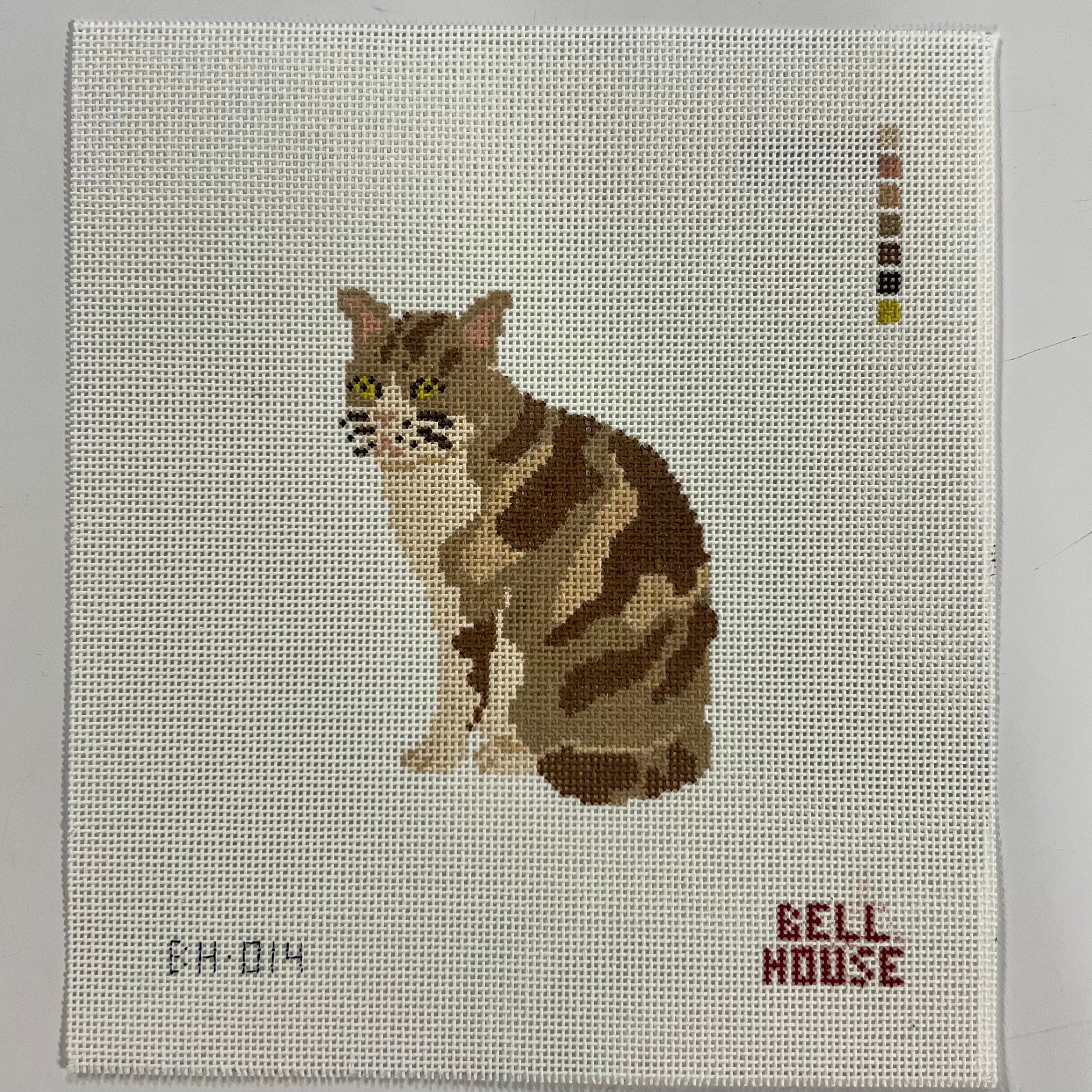 BH-014 - Brown Tabby Cat - 18M