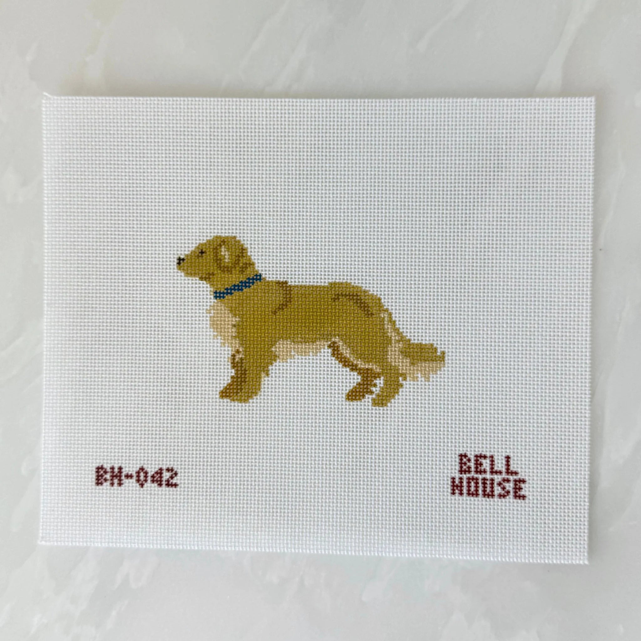 BH042 Golden Retriever - 18M